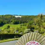 Blue Skies, white horse green rolling hills