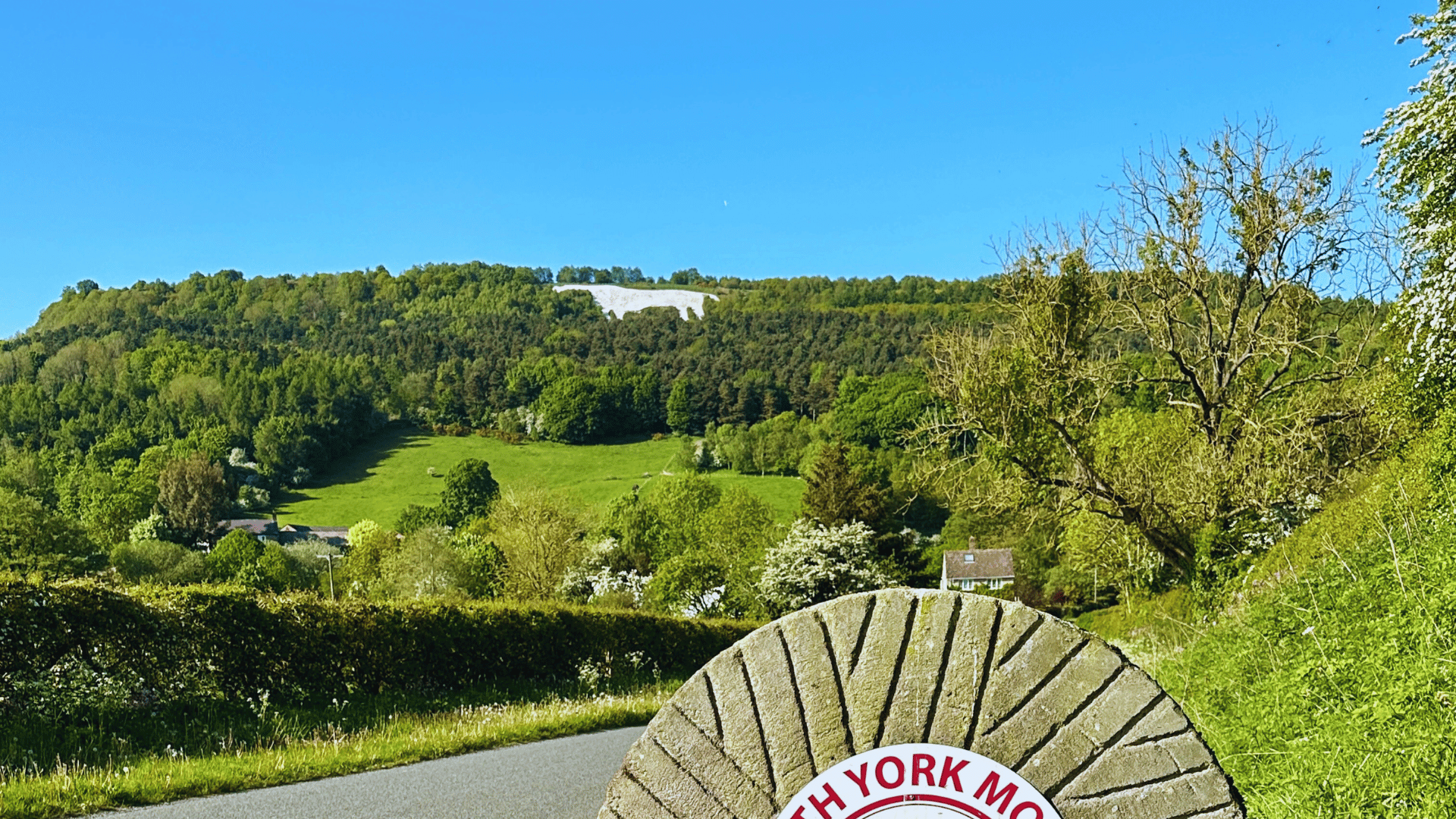 Blue Skies, white horse green rolling hills